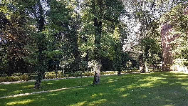 Park pałacowy w Żmigrodzie